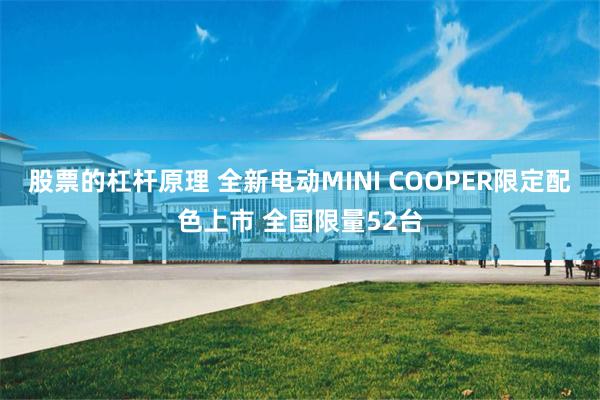 股票的杠杆原理 全新电动MINI COOPER限定配色上市 全国限量52台