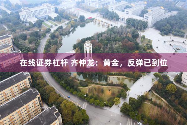 在线证劵杠杆 齐仲龙：黄金，反弹已到位