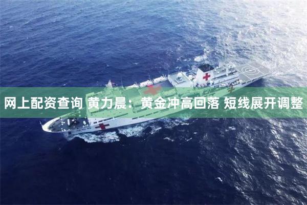 网上配资查询 黄力晨：黄金冲高回落 短线展开调整