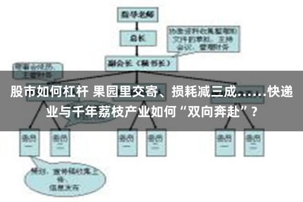股市如何杠杆 果园里交寄、损耗减三成……快递业与千年荔枝产业如何“双向奔赴”？