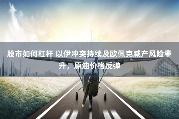 股市如何杠杆 以伊冲突持续及欧佩克减产风险攀升，原油价格反弹