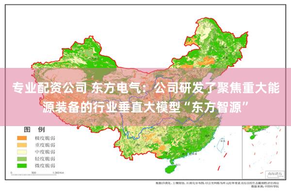专业配资公司 东方电气：公司研发了聚焦重大能源装备的行业垂直大模型“东方智源”