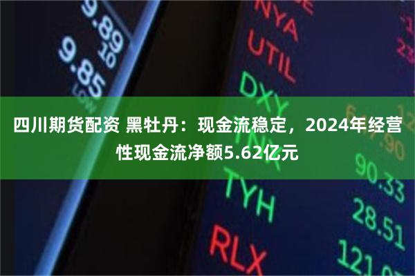 四川期货配资 黑牡丹：现金流稳定，2024年经营性现金流净额5.62亿元