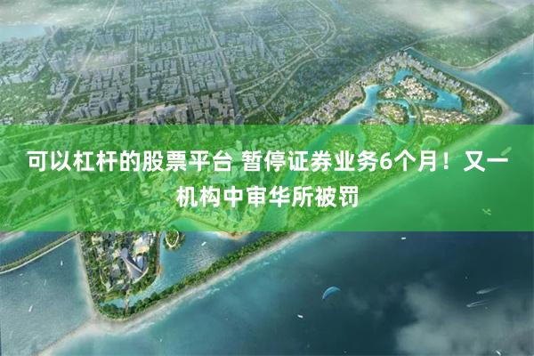 可以杠杆的股票平台 暂停证券业务6个月！又一机构中审华所被罚