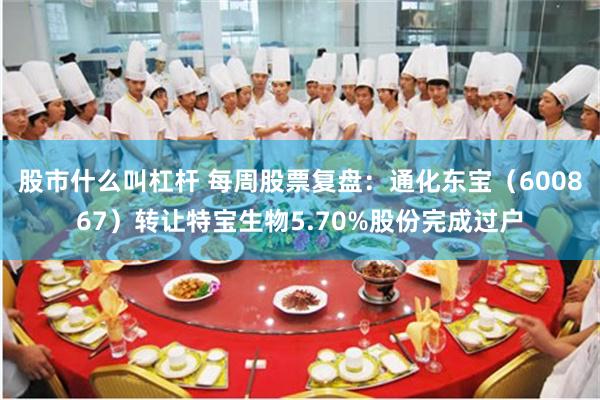 股市什么叫杠杆 每周股票复盘：通化东宝（600867）转让特宝生物5.70%股份完成过户