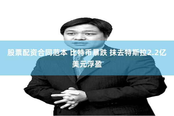 股票配资合同范本 比特币暴跌 抹去特斯拉2.2亿美元浮盈