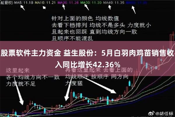 股票软件主力资金 益生股份：5月白羽肉鸡苗销售收入同比增长42.36%