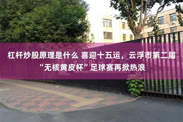 杠杆炒股原理是什么 喜迎十五运，云浮市第二届“无核黄皮杯”足球赛再掀热浪