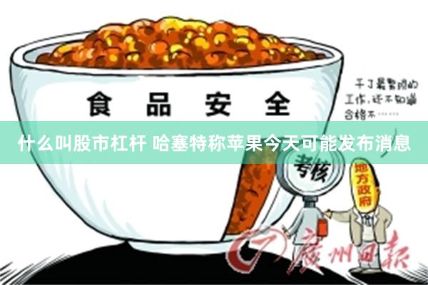 什么叫股市杠杆 哈塞特称苹果今天可能发布消息