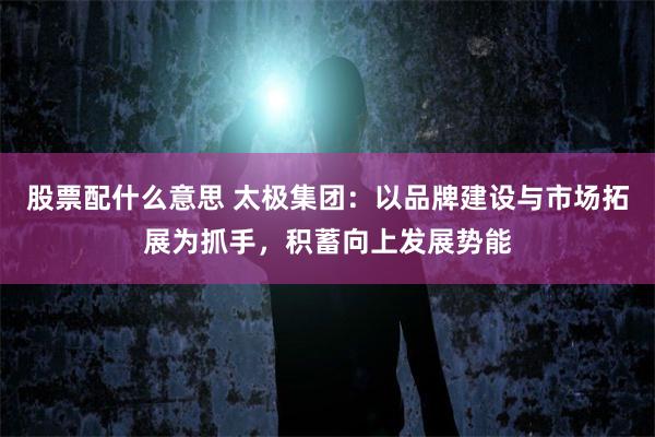 股票配什么意思 太极集团：以品牌建设与市场拓展为抓手，积蓄向上发展势能