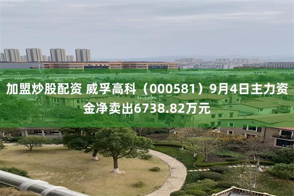 加盟炒股配资 威孚高科（000581）9月4日主力资金净卖出6738.82万元
