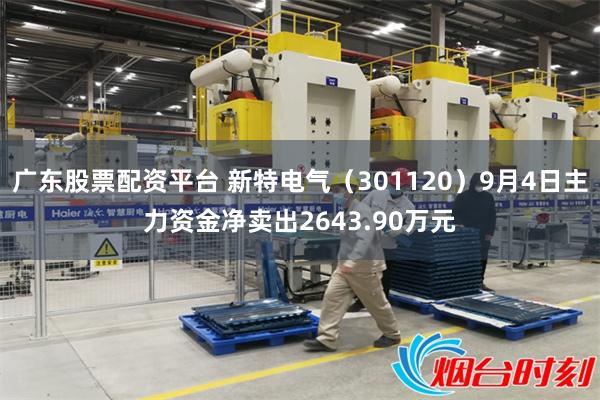 广东股票配资平台 新特电气（301120）9月4日主力资金净卖出2643.90万元