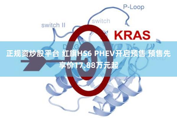 正规资炒股平台 红旗HS6 PHEV开启预售 预售先享价17.88万元起