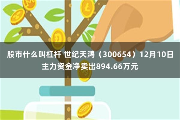 股市什么叫杠杆 世纪天鸿（300654）12月10日主力资金净卖出894.66万元