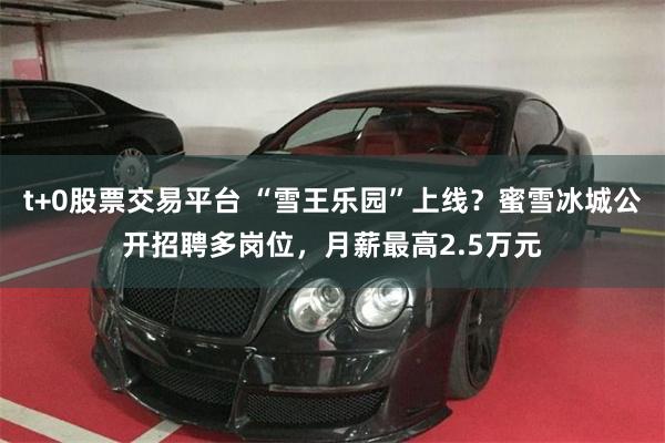 t+0股票交易平台 “雪王乐园”上线？蜜雪冰城公开招聘多岗位，月薪最高2.5万元