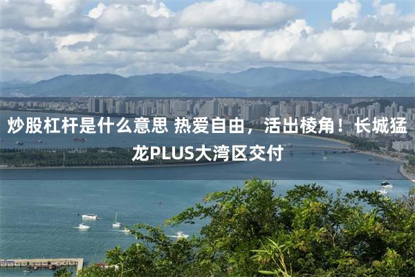炒股杠杆是什么意思 热爱自由,活出棱角!长城猛龙PLUS大湾区交付