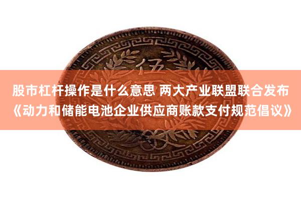 股市杠杆操作是什么意思 两大产业联盟联合发布《动力和储能电池企业供应商账款支付规范倡议》