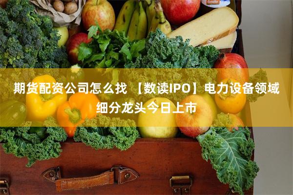 期货配资公司怎么找 【数读IPO】电力设备领域细分龙头今日上市