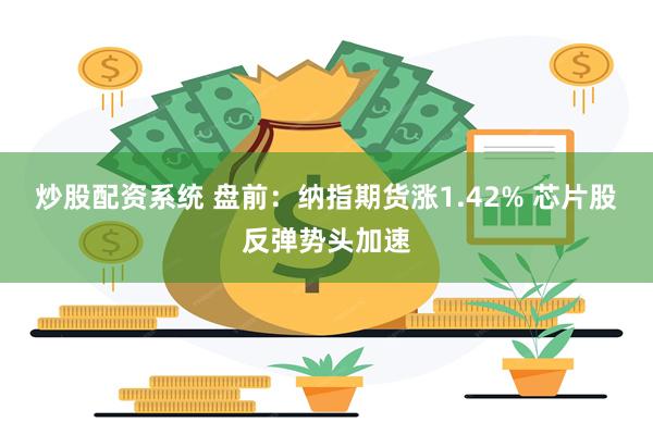 炒股配资系统 盘前：纳指期货涨1.42% 芯片股反弹势头加速