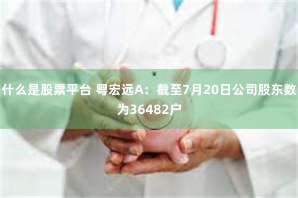 什么是股票平台 粤宏远A：截至7月20日公司股东数为36482户